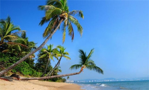 拽哥易拉罐茶油炒饭