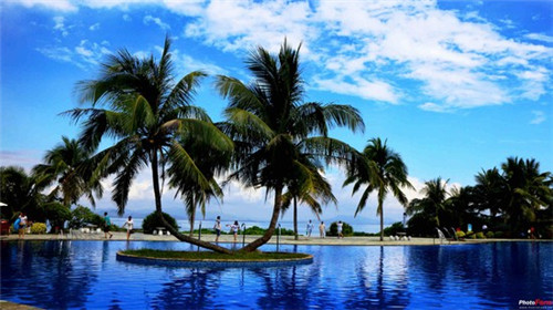 陈氏黄焖鸡馄饨