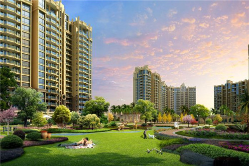 铁蛋鸡汤刀削面