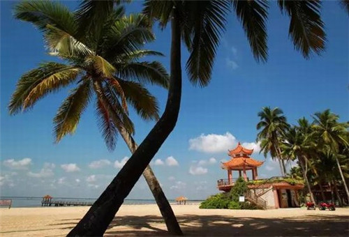 醉芒甜品全国有几家店铺