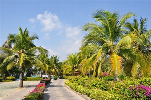 满天的星空是什么样子的歌（满天的星空都送给你歌词）